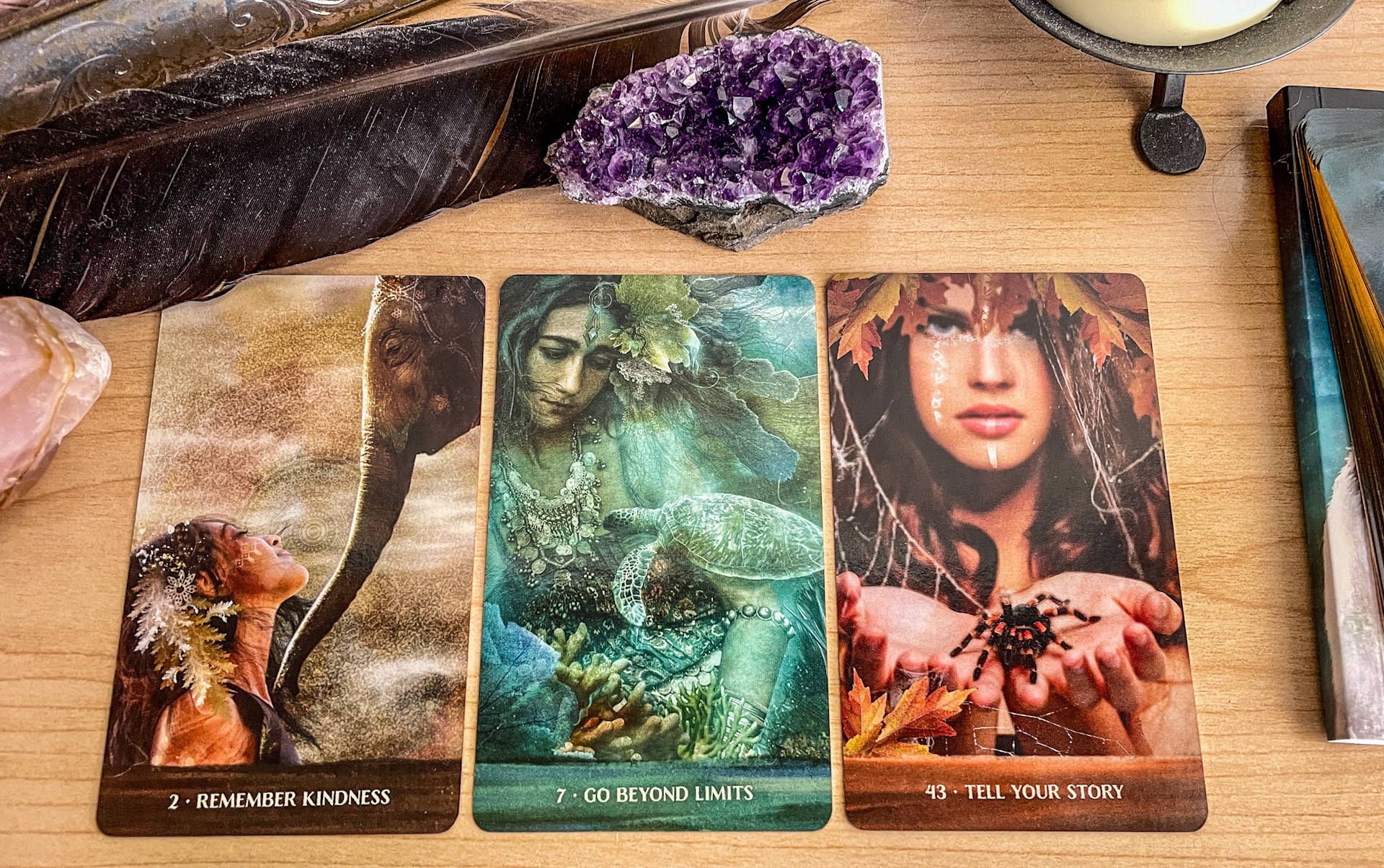 three oracle cards laying on an alter with amethyst, rose quarts and a black raven feather